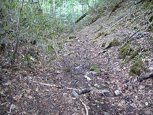 �ѓ��I�ȏꏊ