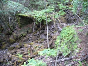 �������؋�