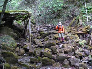 �������؋�