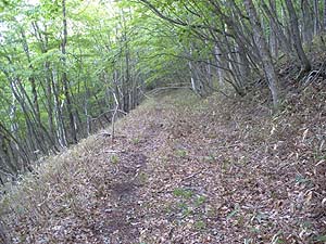 �ѓ���i�ށB