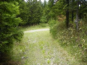 �ѓ�����