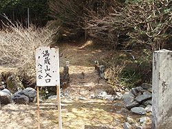 �ݑ��R����