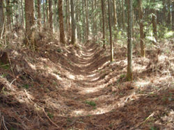 �o�R���͐���