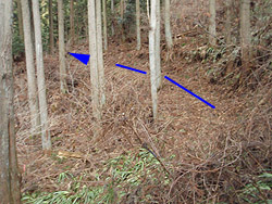 �{���̍�����i��