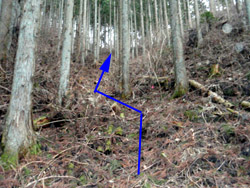 ��������