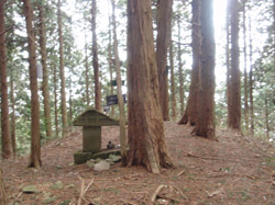 �ݑ��R �R��(534m)