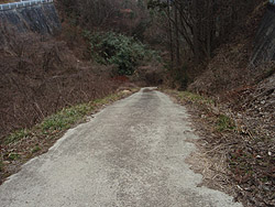 �ȈՃR���N���[�g�̓�