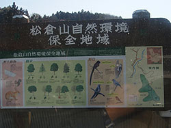 �o�R��(�Ŕ�)