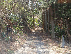 �������ɕς����