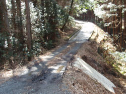 �R���N���[�g���ܑ̕��H