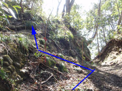 ���P�R �R������̉��R