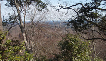 ���R�����ʂɍX�ɐi��