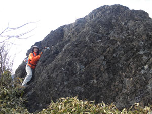 �v�w��(���) 