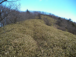 �����̔�����