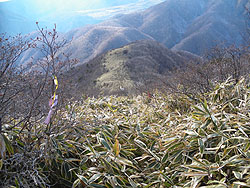 ���������������Ԃ���