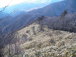 ����������̒���