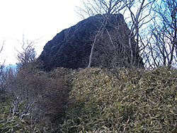 �v�w��(���) 