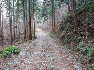 �ѓ���i�ށ`