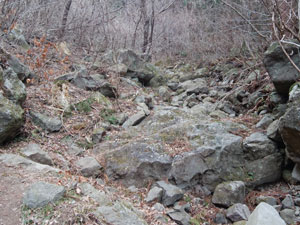 ������i�ށ`