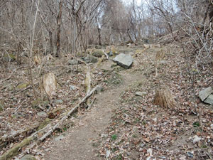 �傫�Ȋ�������Ȃ�