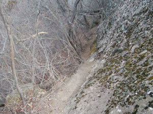 ����ւƈ����Ԃ����B