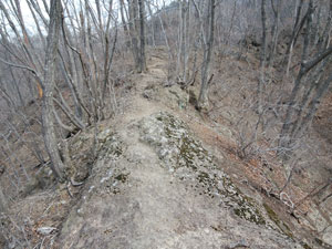 �₹������i�ށ`