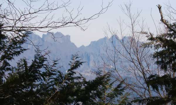 �R������̒���