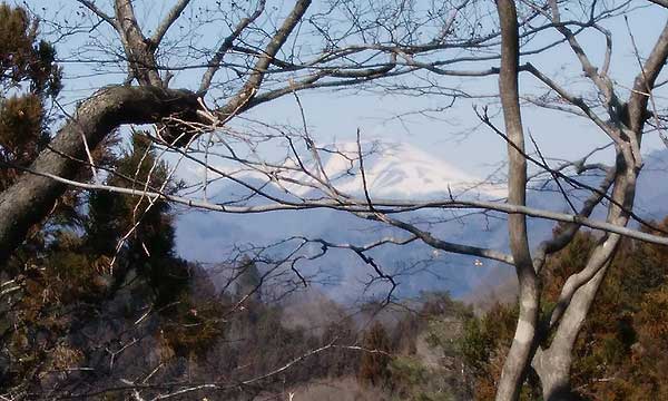 ��������̒���