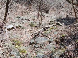 ����(������E�΂Ί�̃R��)����̓o�R��