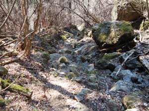 ������i�ށB