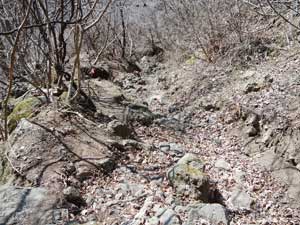 ������i�ށB