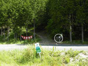 �����o�R��