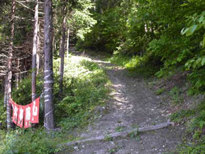 �o�R������̓o�R���B