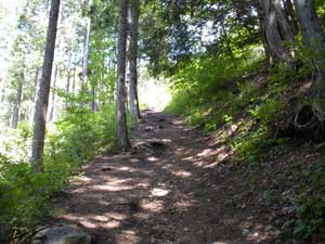 �����I�ȓo�R��