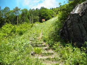 �J�������邢�ꏊ