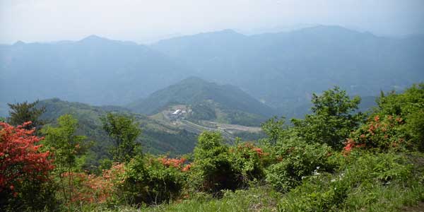山頂からの眺め