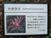 ��������̉�(�Ŕ�)