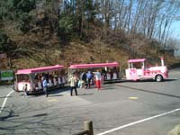 �t�����[�g���C��