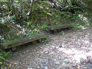 �x���`�����ꂽ�`