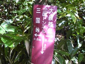 �x���`�����ꂽ�`