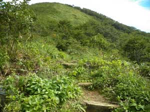 �O��������̓o�R���B