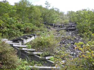 �ؒi�͑����`