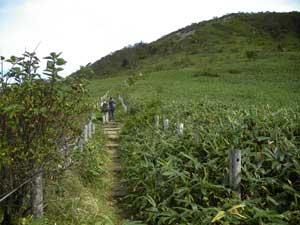 ���̐�����L�������ɏo���B