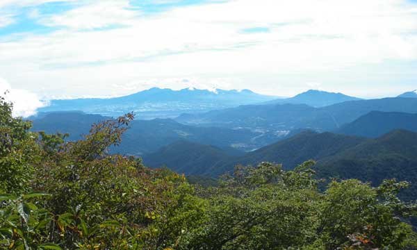 �R������̒���