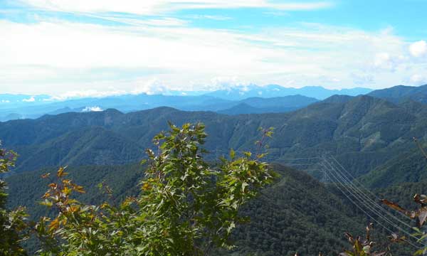 �R������̒���