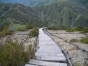 �����ؒi�`