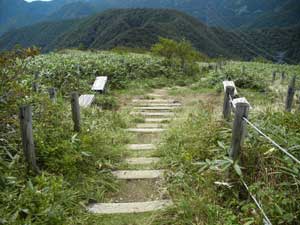 �����ؒi�`�`