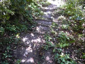 ���x���������`�`