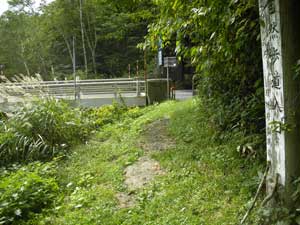 �����������Ă����`