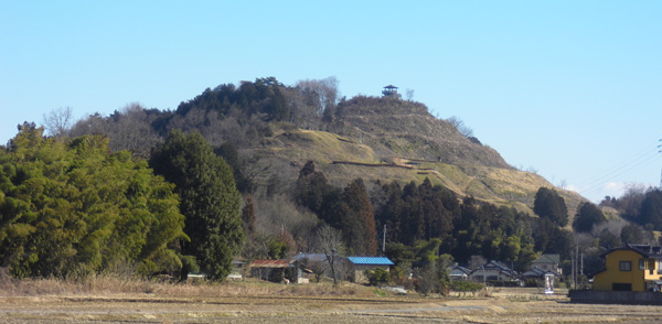城山(皆川城址)